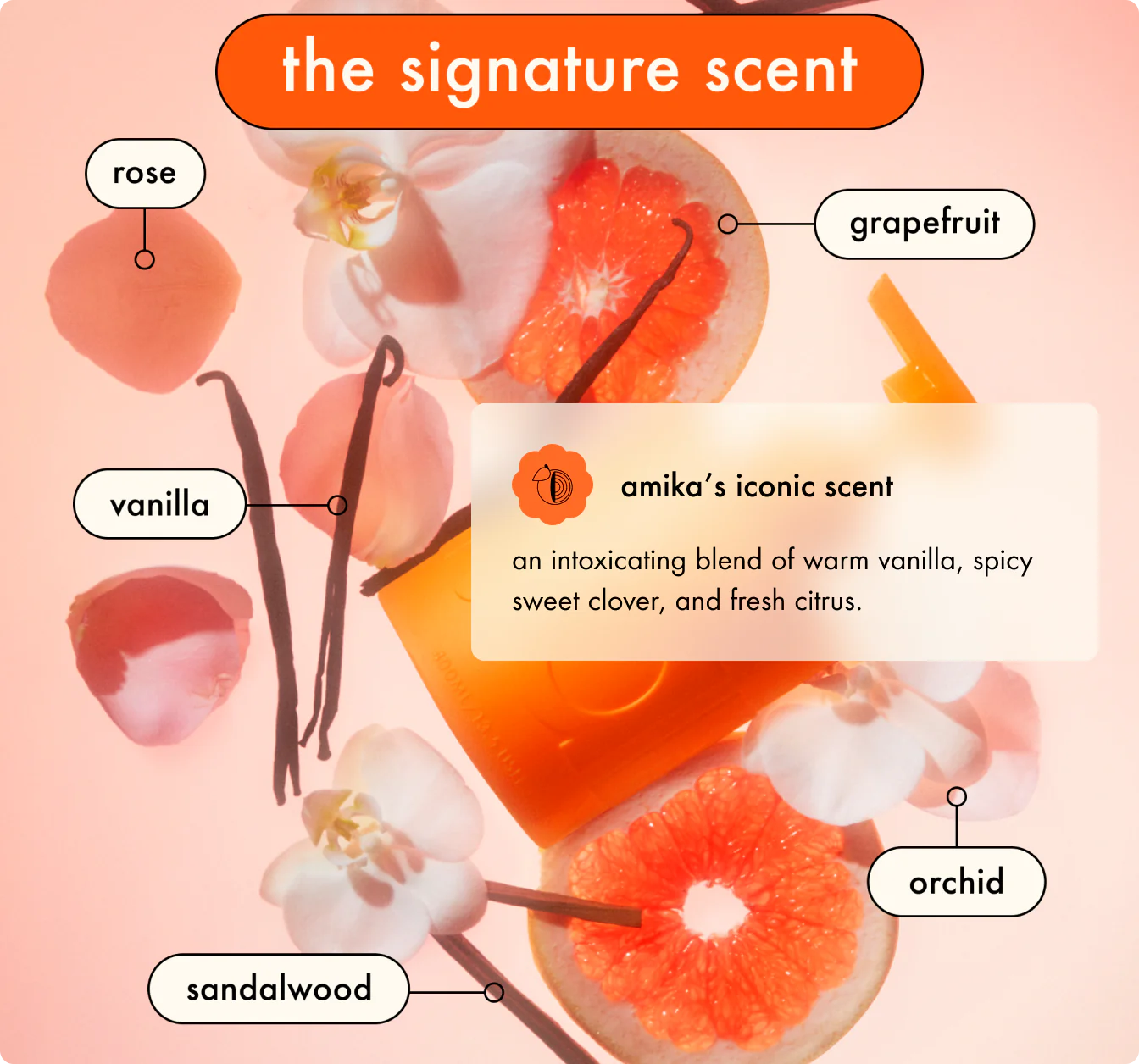 Perk up talc-free dry shampoo *PRE-ORDER*