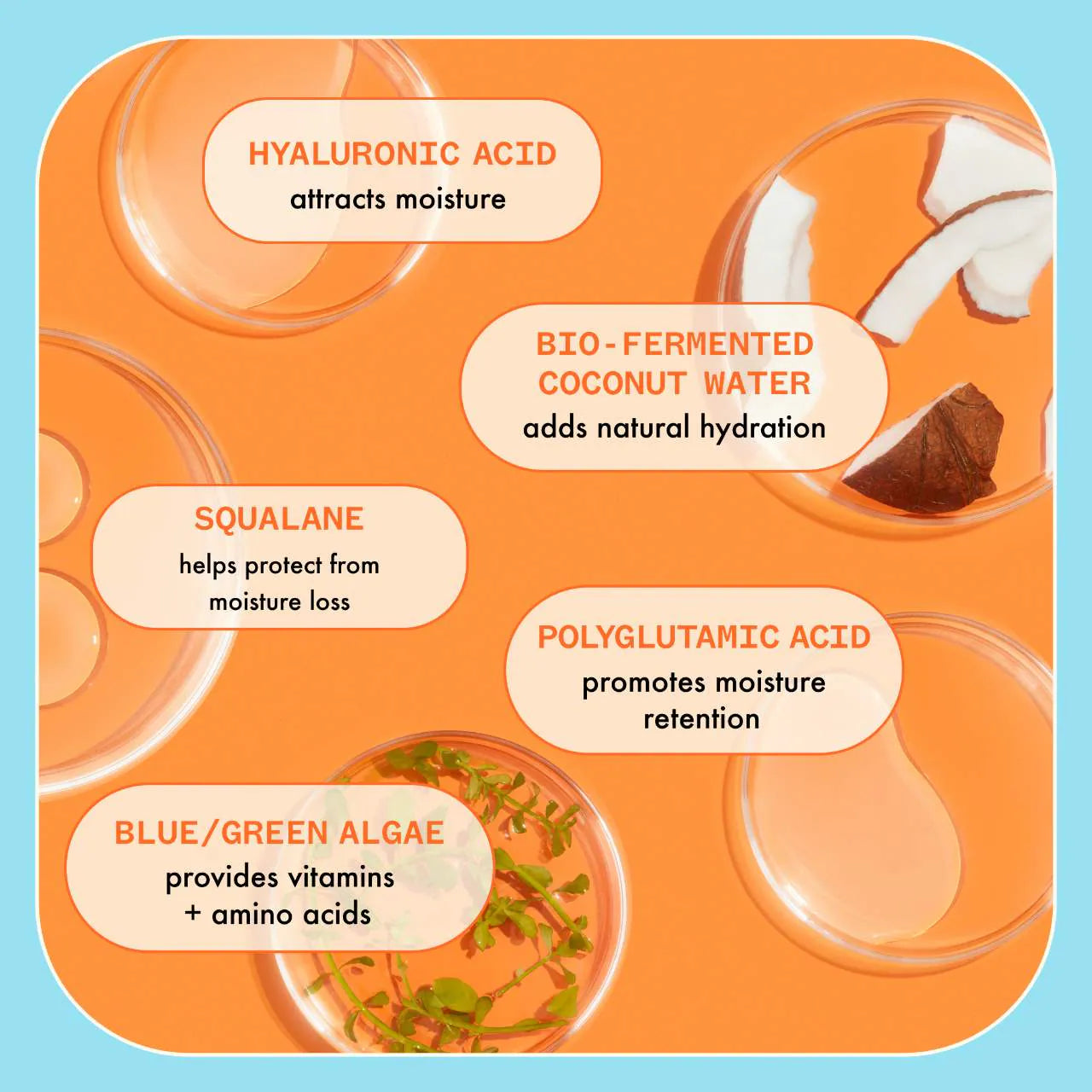 Hydration Happy Hour Wash + Care Hair Set *PRE-ORDEN*