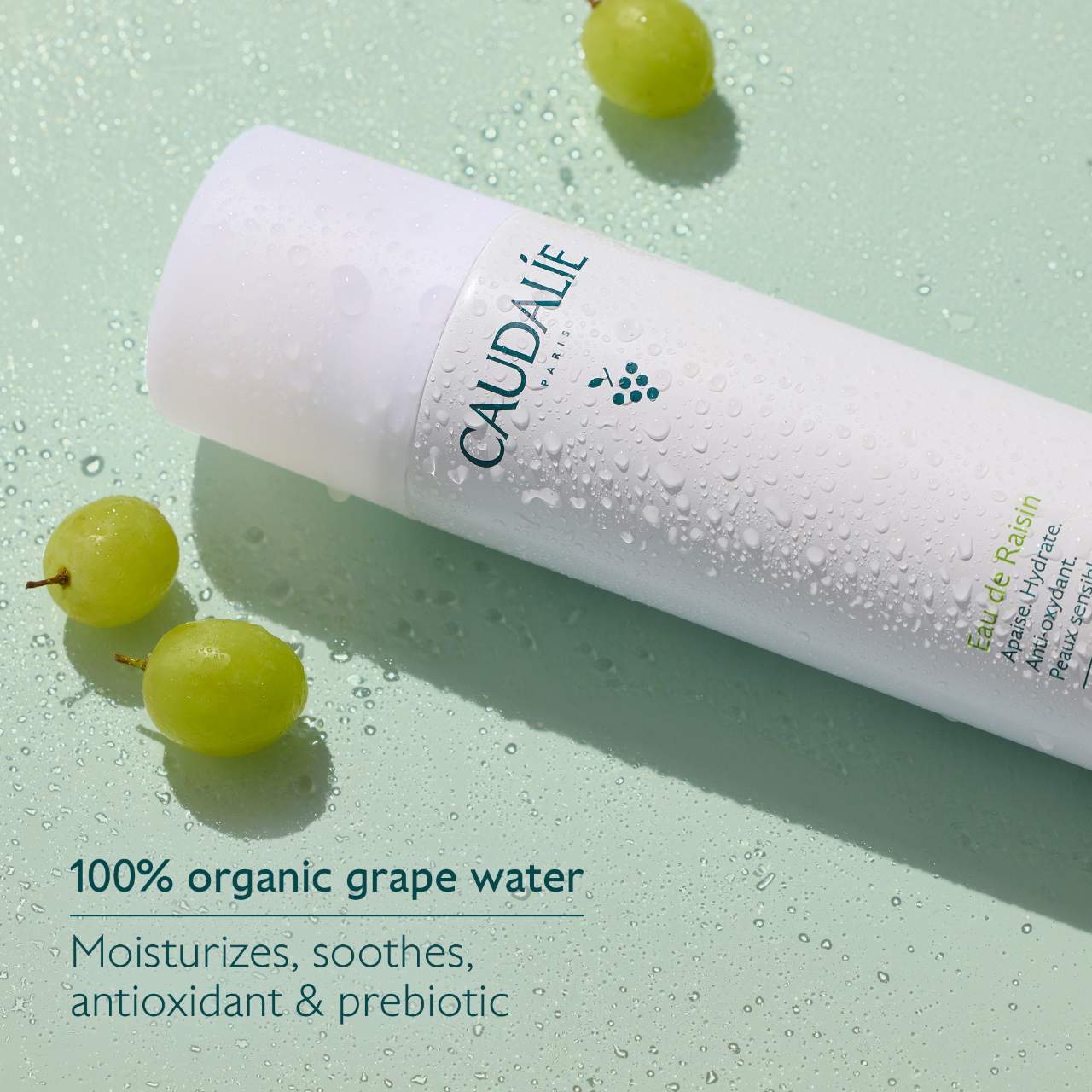 Grape Water Moisturizing Face Mist *PRE-ORDEN*