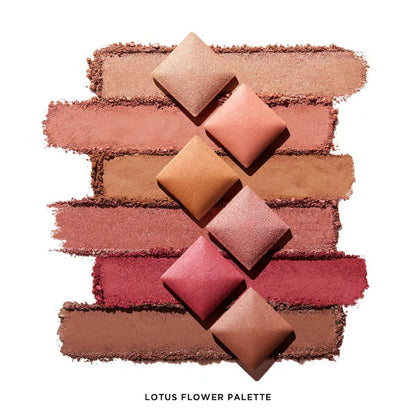 Ambient Lighting Edit Unlocked Palette * PRE-ORDER*